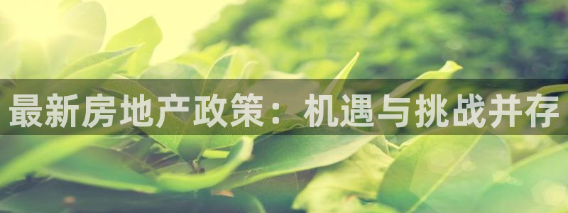 新宝5招商部：最新房地产政策：机遇与挑战并存