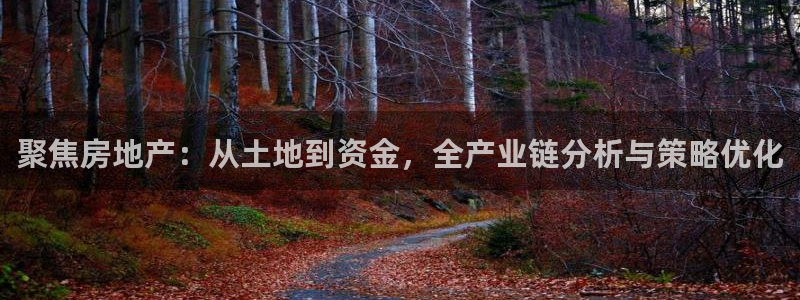 新宝5怎么下载到桌面：聚焦房地产：从土地到资金，全产业链分析