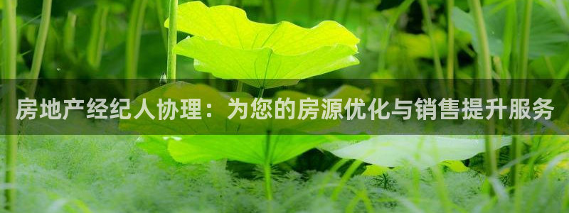 新宝G5：房地产经纪人协理：为您的房源优化与销售提升服务