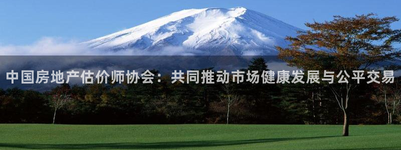 新宝5新宝6顺达：中国房地产估价师协会：共同推动市场健康发展