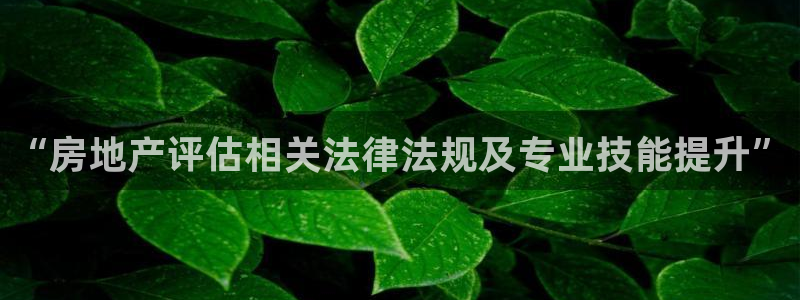 p5r新宝魔：“房地产评估相关法律法规及专业技能提升”