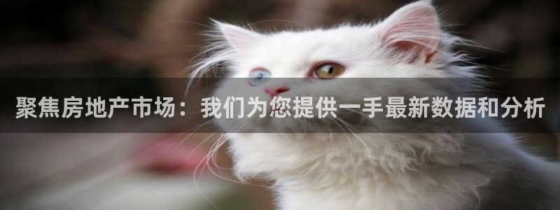 新宝5是谁的：聚焦房地产市场：我们为您提供一手最新数据和分析