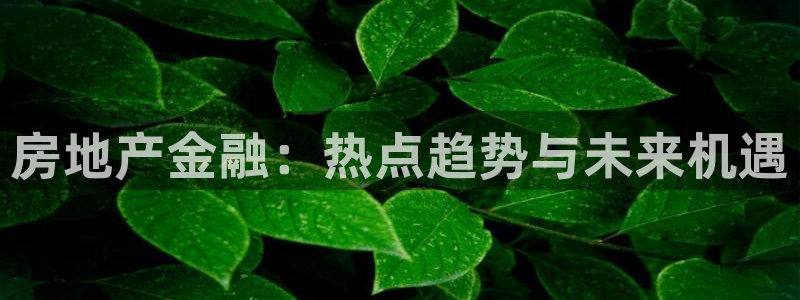 新宝5是什么：房地产金融：热点趋势与未来机遇