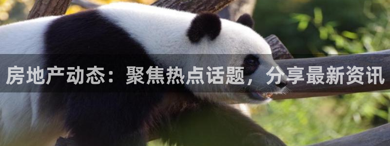 新宝5手机测速：房地产动态：聚焦热点话题，分享最新资讯