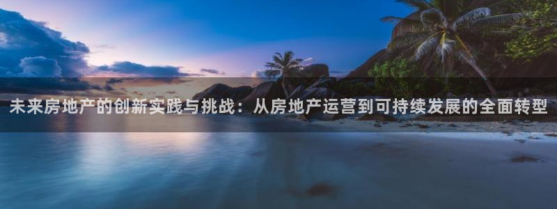 新宝cR一5：未来房地产的创新实践与挑战：从房地产运营到可持