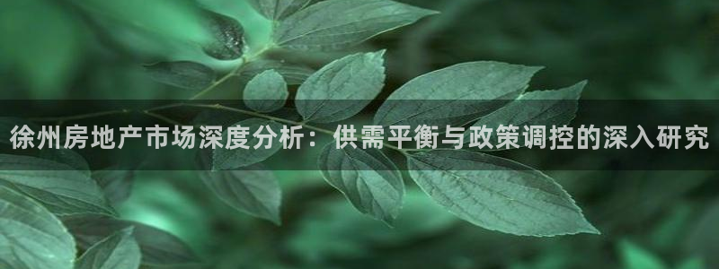 新宝5注册首页：徐州房地产市场深度分析：供需平衡与政策调控的