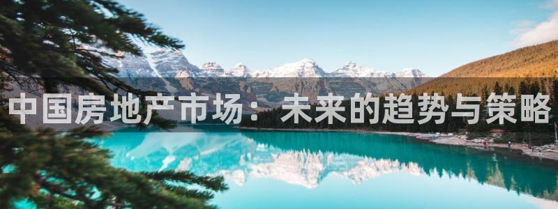 新宝那2O5O5O：中国房地产市场：未来的趋势与策略