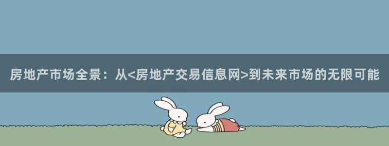 新宝5网址：房地产市场全景：从<房地产交易信息网>到未来市场