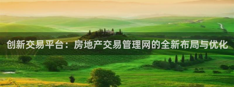 新宝5苹果手机下载：创新交易平台：房地产交易管理网的全新布局