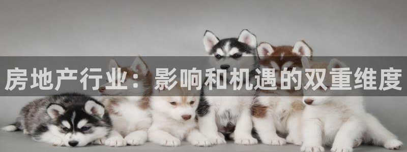 新宝5蒋7O667：房地产行业：影响和机遇的双重维度