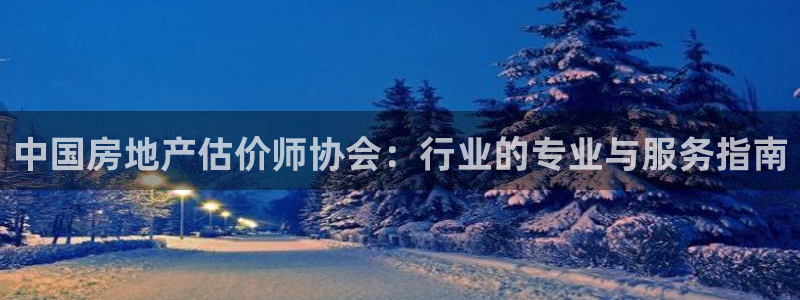 新宝5如何注册：中国房地产估价师协会：行业的专业与服务指南
