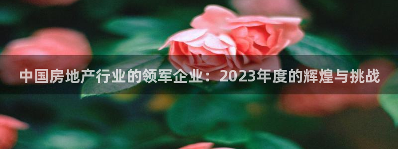新宝速5：中国房地产行业的领军企业：2023年度的辉煌与挑战