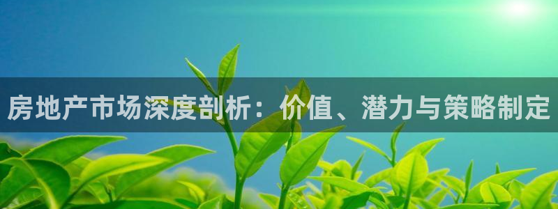新宝5秒开：房地产市场深度剖析：价值、潜力与策略制定