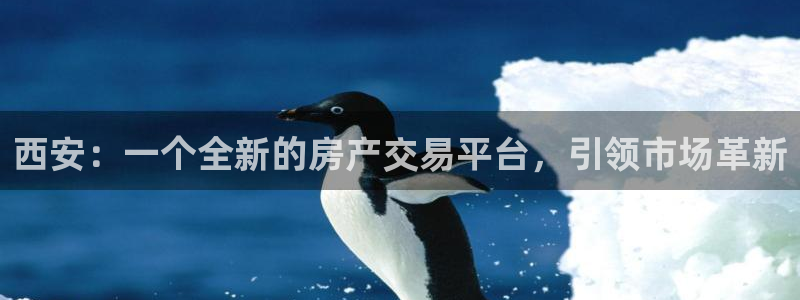 新宝5骗术：西安：一个全新的房产交易平台，引领市场革新