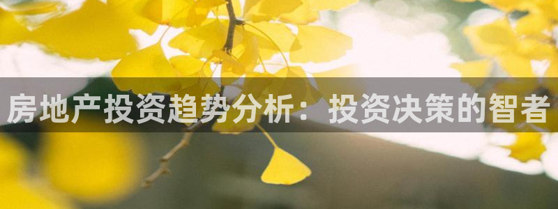 新宝5是什么：房地产投资趋势分析：投资决策的智者