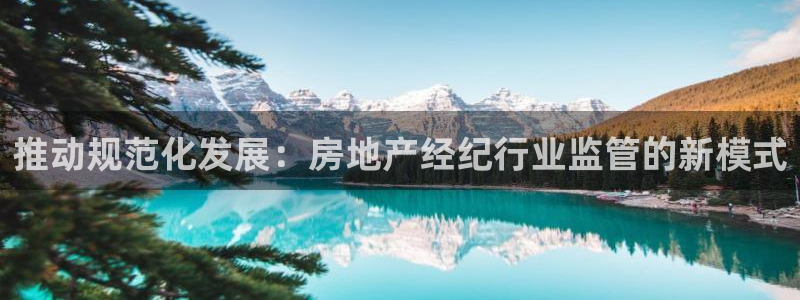 新宝5周74OOO5：推动规范化发展：房地产经纪行业监管的新
