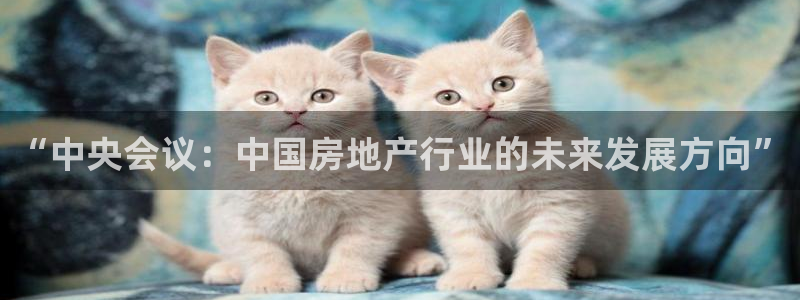 新宝5下载注册：“中央会议：中国房地产行业的未来发展方向”