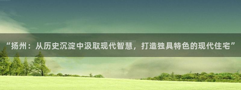 新宝5注册登录：“扬州：从历史沉淀中汲取现代智慧，打造独具特