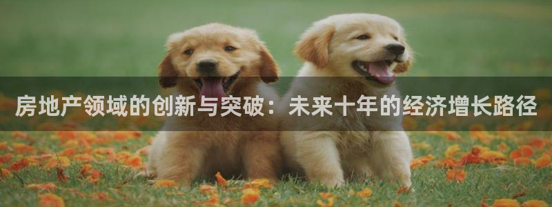新宝5娱乐方：房地产领域的创新与突破：未来十年的经济增长路径