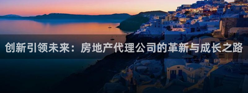 新宝股东瞧听2 5 5：创新引领未来：房地产代理公司的革新与