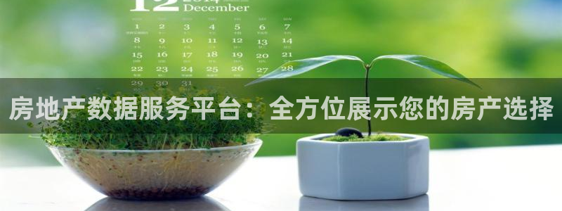 新宝5骗术：房地产数据服务平台：全方位展示您的房产选择