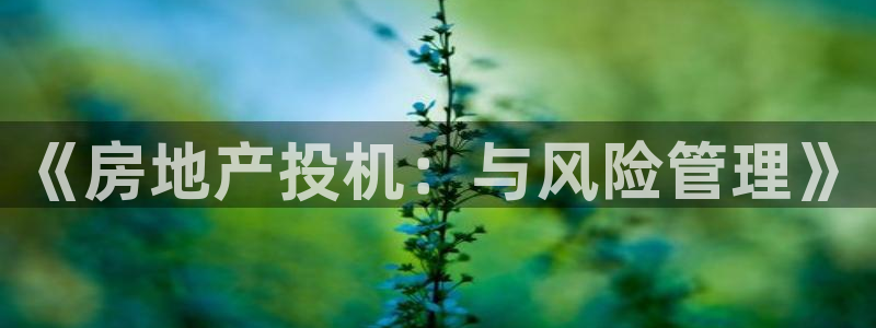新宝5上70 667：《房地产投机：与风险管理》