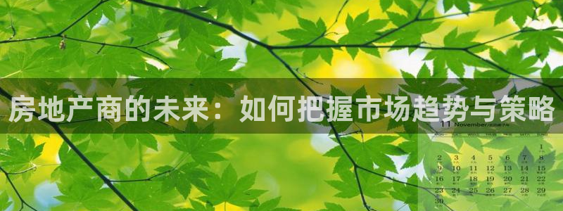 新宝5线路登录：房地产商的未来：如何把握市场趋势与策略