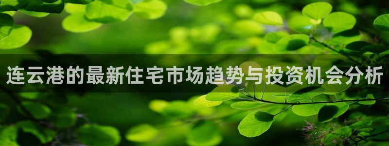新宝5测试：连云港的最新住宅市场趋势与投资机会分析