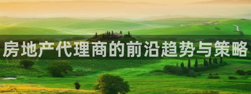 新宝gg5：房地产代理商的前沿趋势与策略